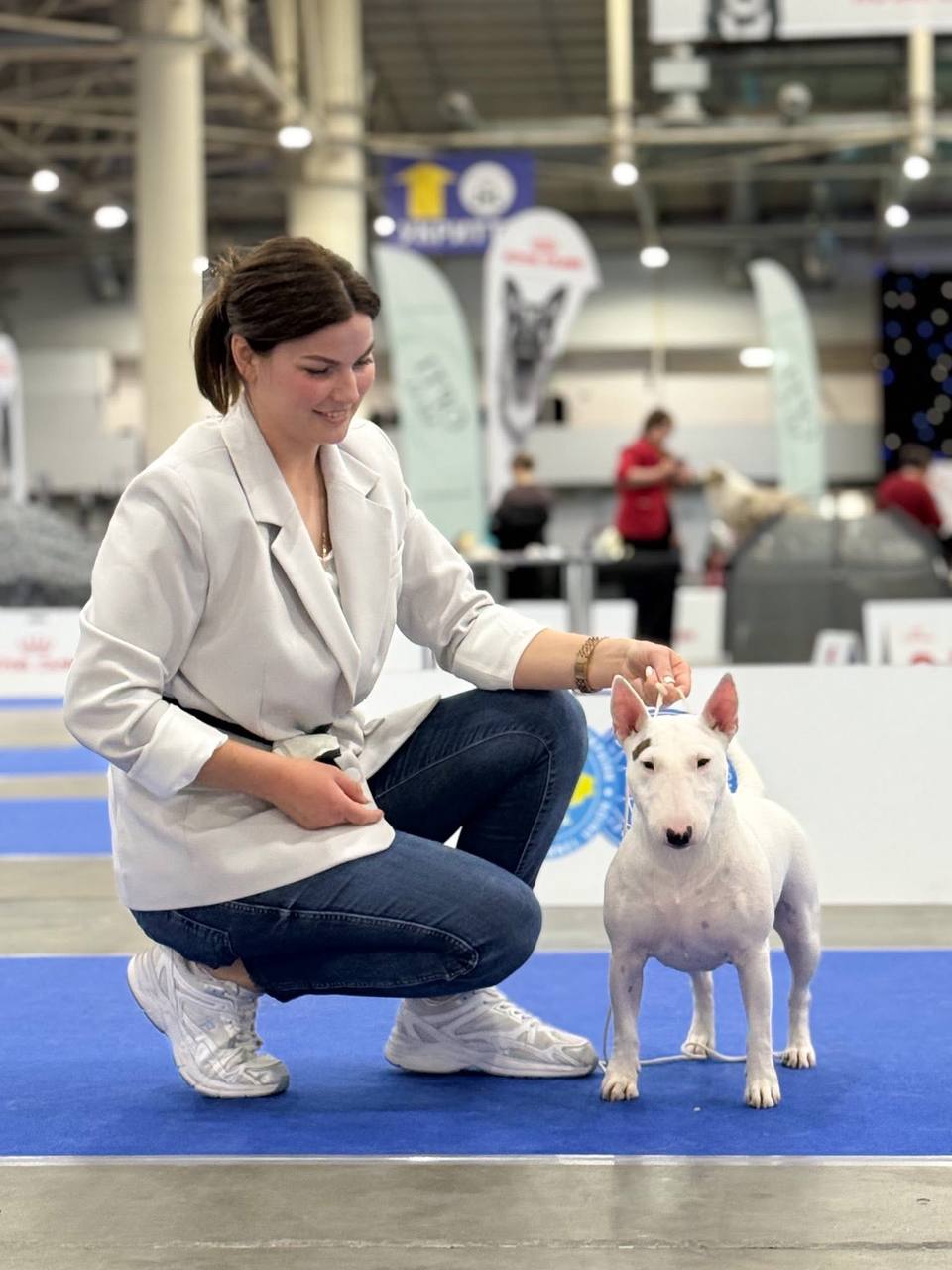 VENTURESOME — практика